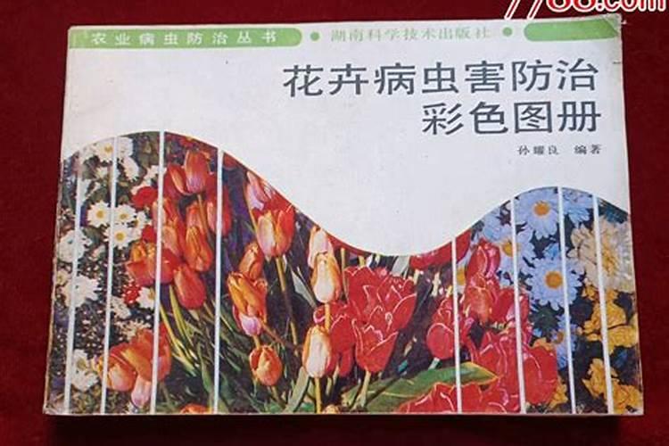 守护花园之美：花卉病虫害防治攻略