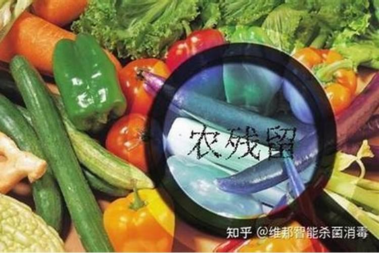 确保餐桌安全：辣椒的农药残留与清洗指南