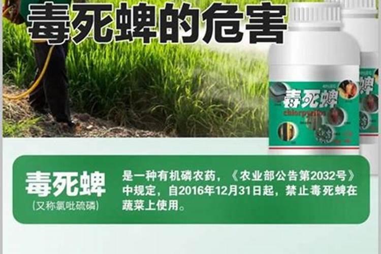 警惕隐形杀手：毒死蜱药害的深度剖析与防范