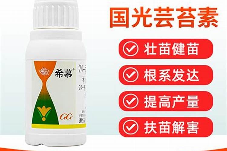 必须收藏！芸苔素施用方法大集锦？