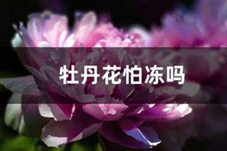 冬季储存农药的智慧：确保安全与效能的关键步骤