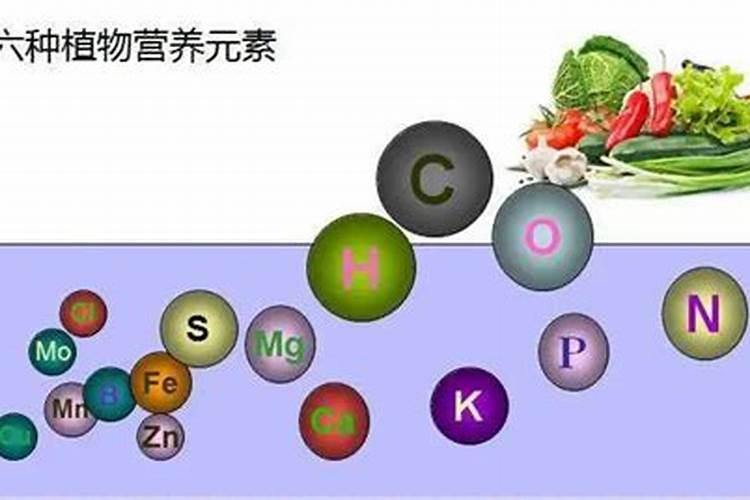 作物需要的营养元素有哪些？都需要施肥来解决？