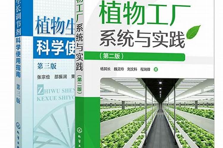 植物生长调节剂施用的智慧：注意事项与实践策略