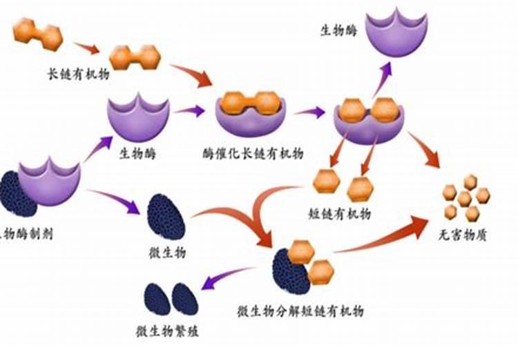 田野守护者的智慧：掌握农药的16种使用秘籍