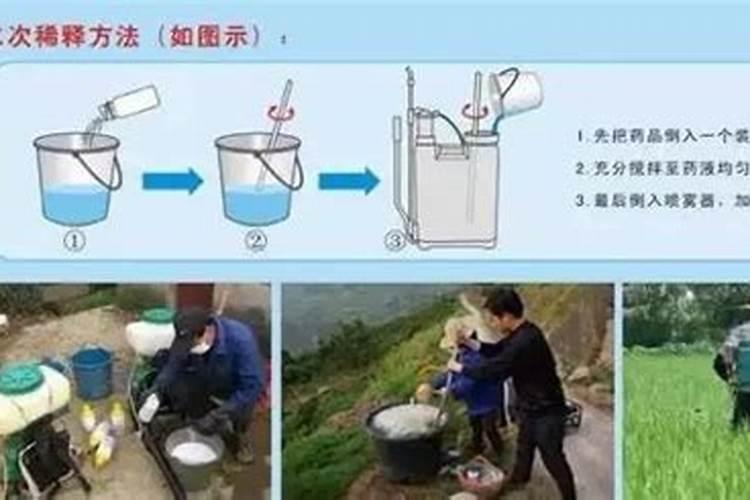 提升农药效用的关键步骤：智慧与科技在农业中的融合