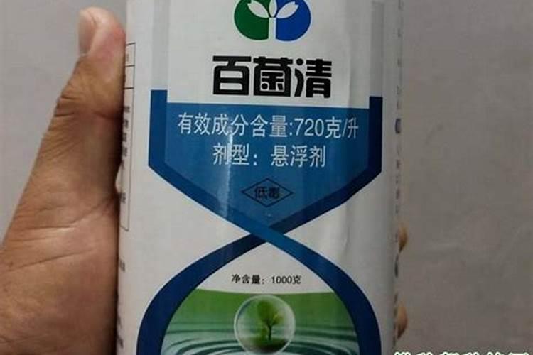 揭秘失效农药的辨别方法：确保农作物安全的关键步骤？