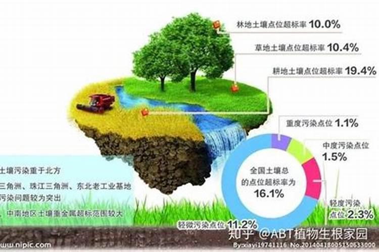 土地之伤：揭示不合理施肥的隐忧