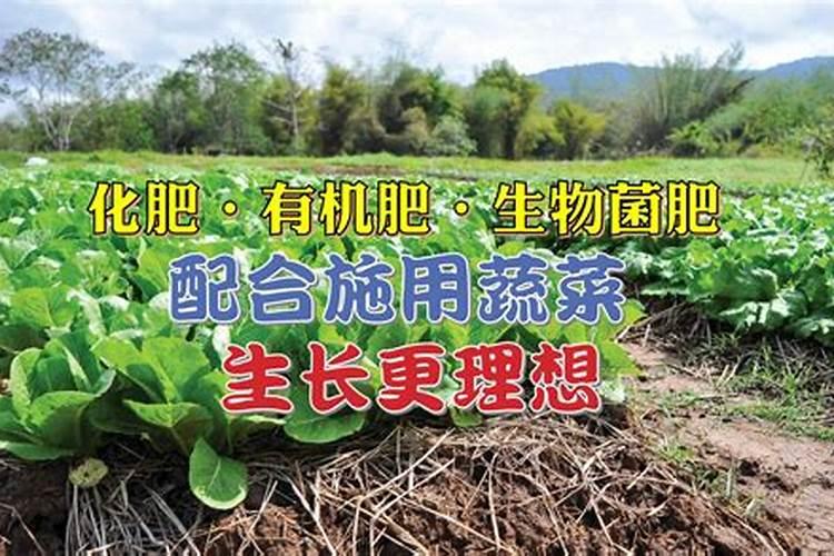 掌握绿色农业的钥匙：使用微生物肥料的七大注意事项