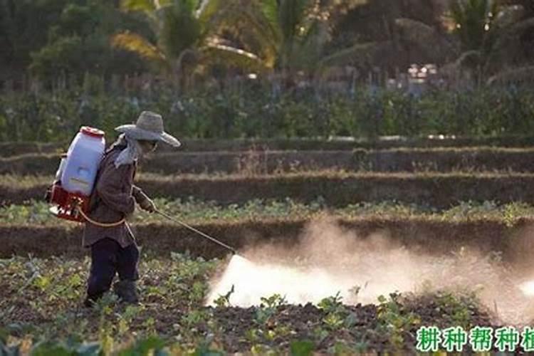 警惕！使用细菌生物农药的五大注意事项