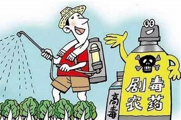 警惕！农药施用不当，后果严重