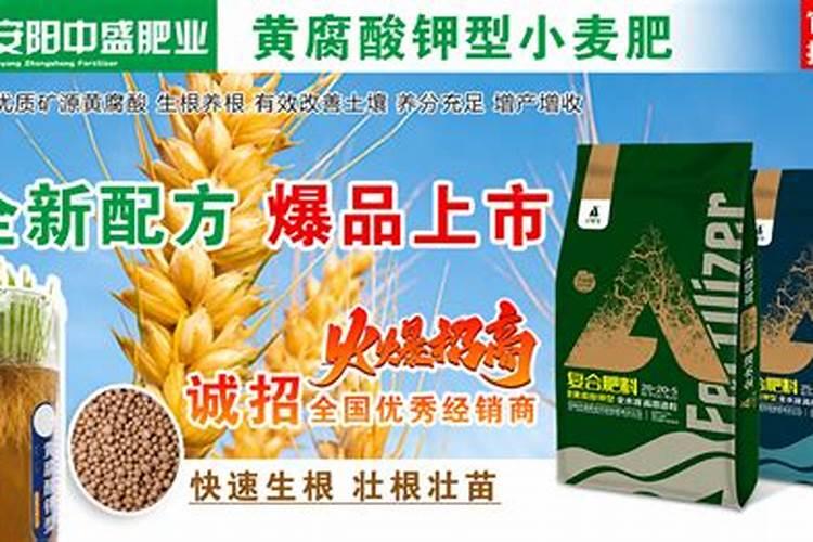 小麦底肥的科学选择：二胺肥料的效果与决策指南？