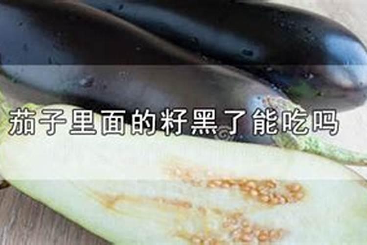 茄子里面有空洞是什么原因造成的？