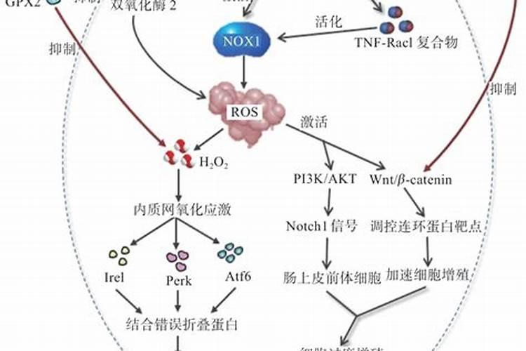 冬季守护：五大策略保护药材免受严寒侵害