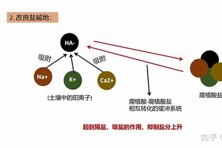 腐殖酸的光热效应是多少度？