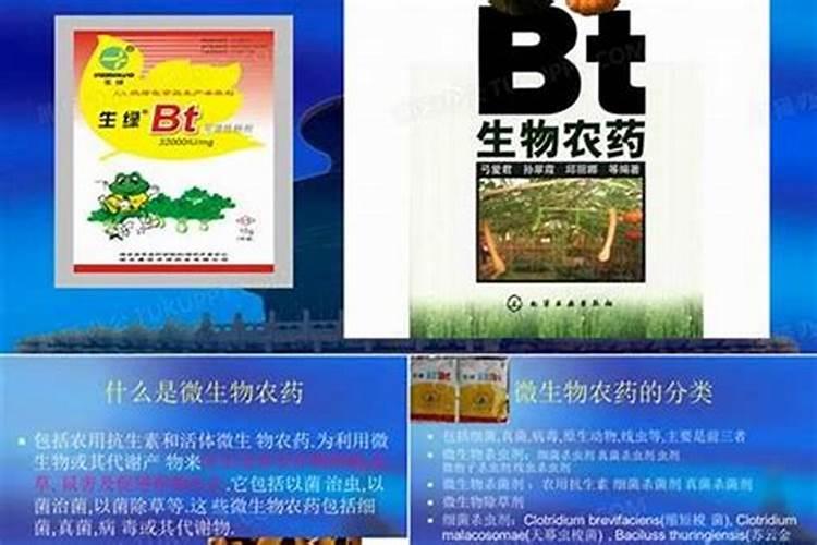 生物农药施用：警惕！你可能忽略的关键问题