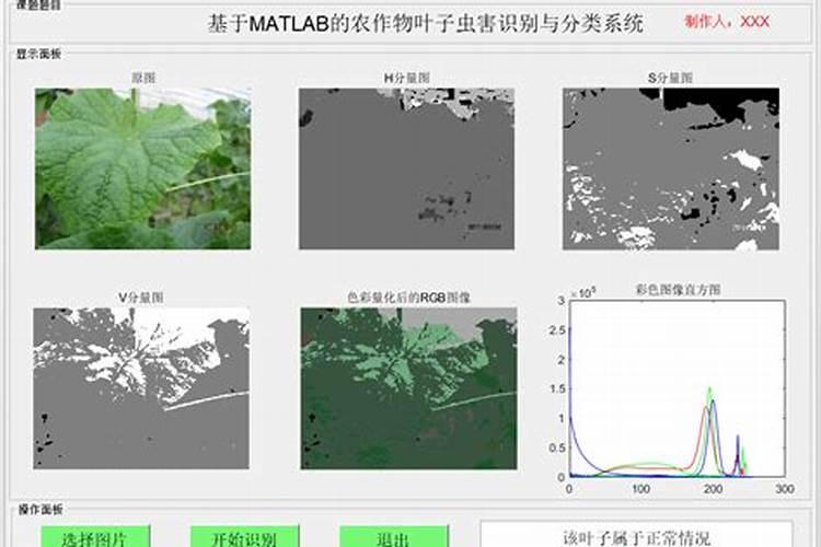 病害侦探：简单有效的识别技巧