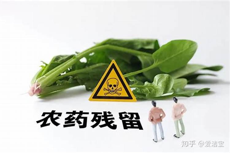 守护绿茵之源：减少蔬菜农药残留量的智慧策略