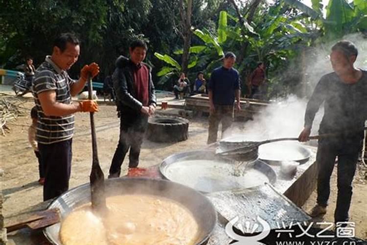 用树叶熬制土农药防治