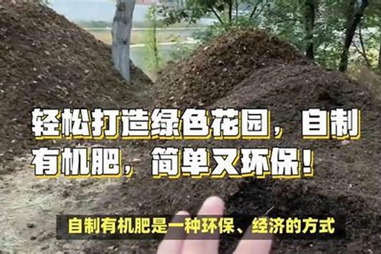 绿色生活：在家轻松制作有机肥，为家庭养花注入自然养分