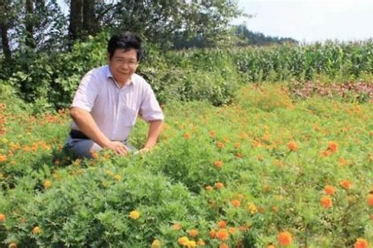 田间隐形杀手