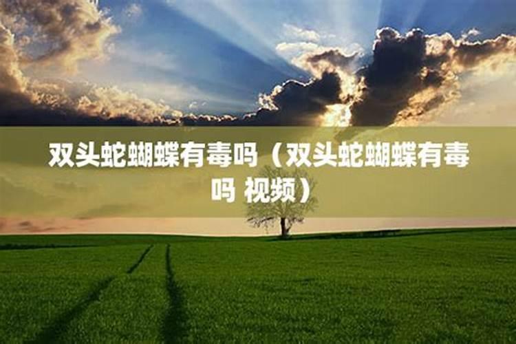 世界最大的蛾类“乌桕大蚕蛾”对乌桕等植物有危害吗？