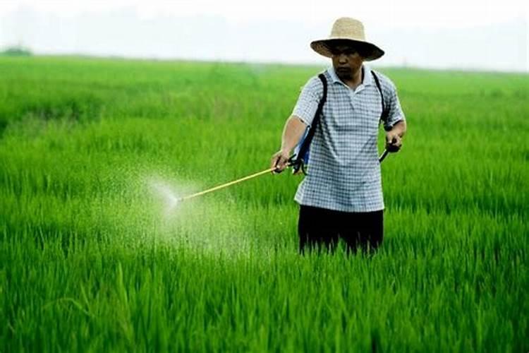 雨季施药无忧：探索耐水农药的科技前沿