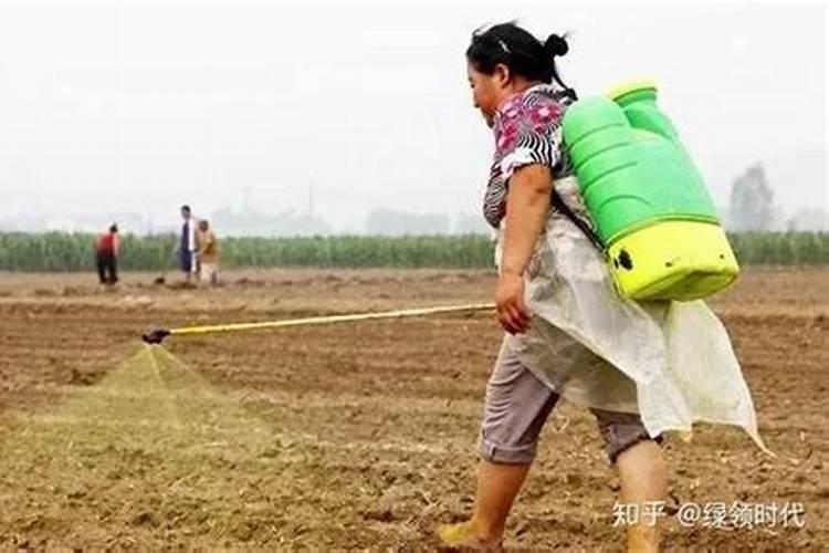 雨季施药无忧：探索耐水农药的科技前沿