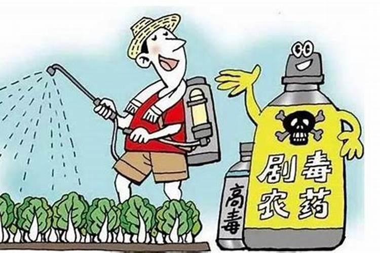 夏日警惕：农药使用的安全与防范