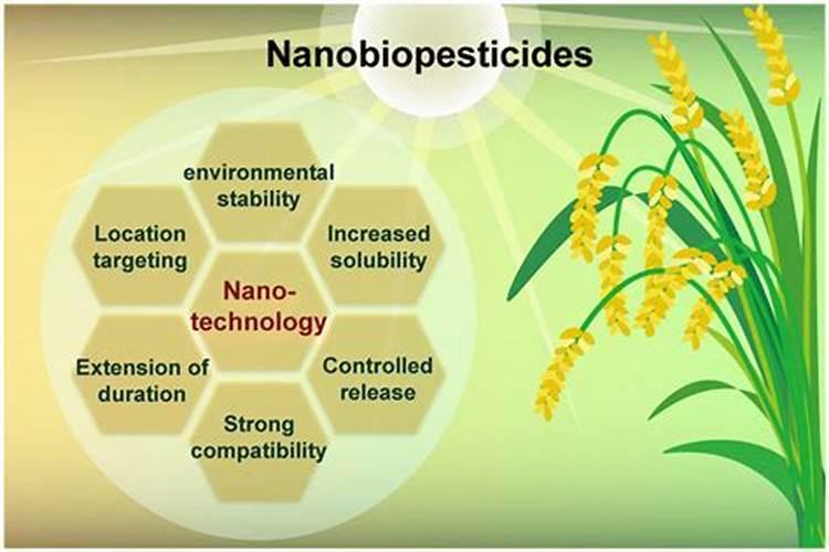 绿色守护：植物源农药的利弊剖析