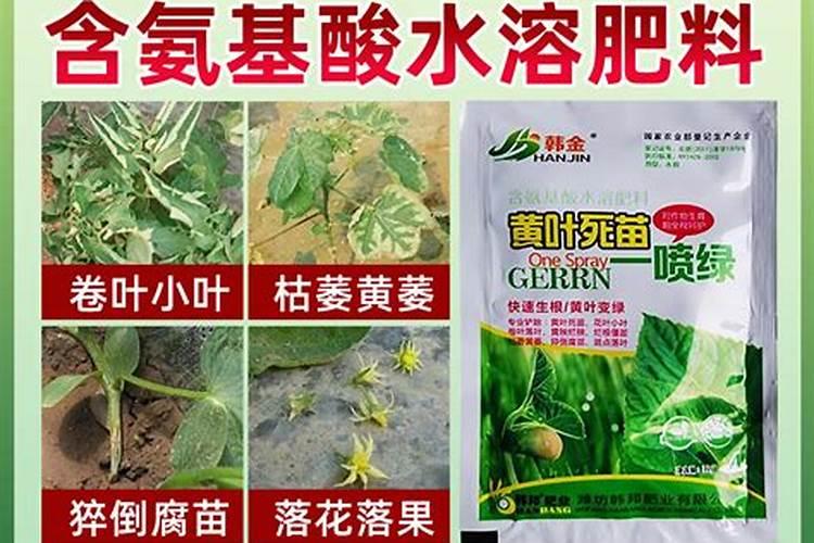 鲜花喷什么叶面肥效果好？