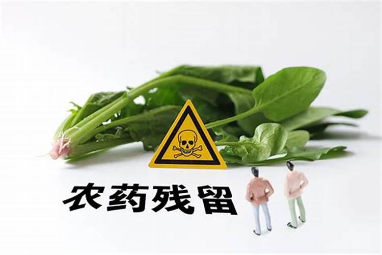 守护食品安全：有效减轻蔬果残留农药的策略