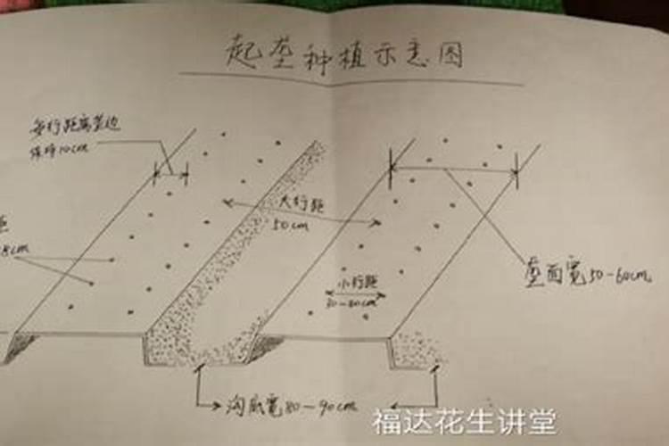 什么是“垄双”栽培模式？