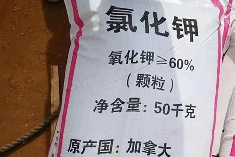 揭秘氯化钾肥料：氧化钾含量的重要性