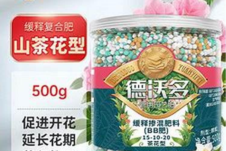 茶花怎么用叶面肥养？