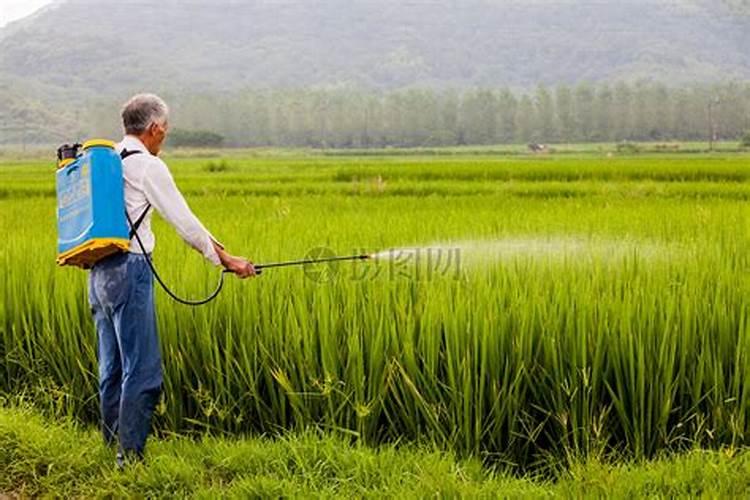 夏季农药喷洒的最佳时机：确保作物安全与效果最大化？