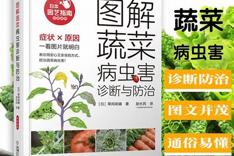 绿色守护：探索蔬菜病虫害防治的化学农药减量之道