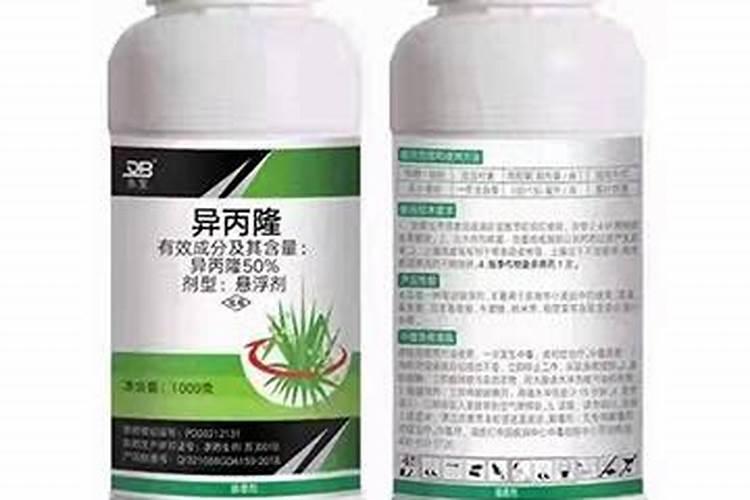 异丙隆除草剂如何使用异丙隆除草剂使用注意事项