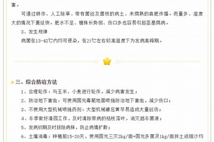 黄芩茎基腐病的防治策略：从理论到实践