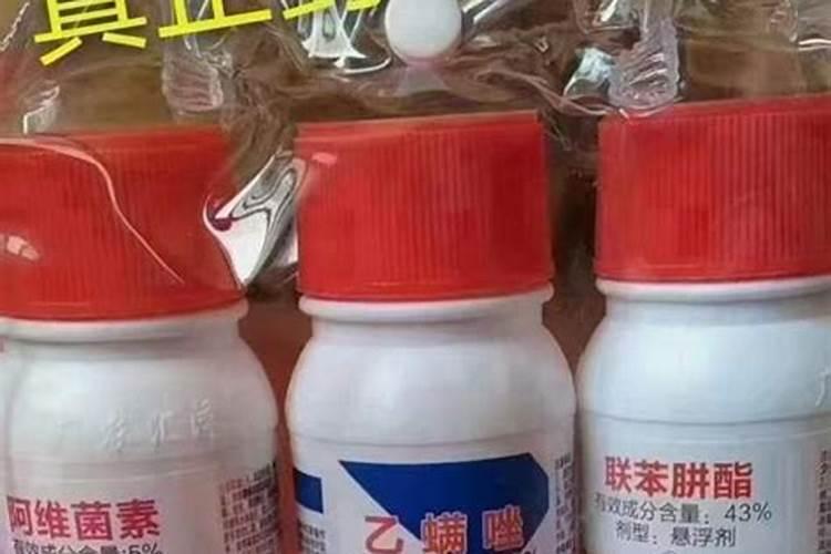 常用的专用杀螨剂有哪些？如何使用？