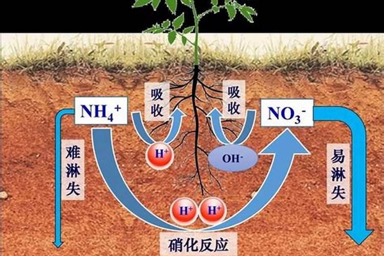 土壤酸化的原因有哪些？