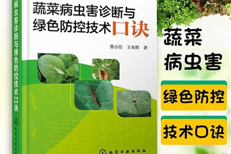 绿色守护：大白菜病害的无公害防控技术解析