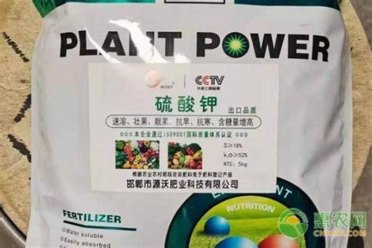 葡萄使用钾肥的比例是多少合适？