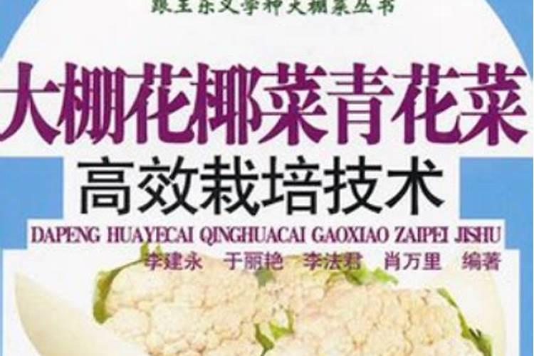 绿意盎然：掌握青花菜高效栽培技术