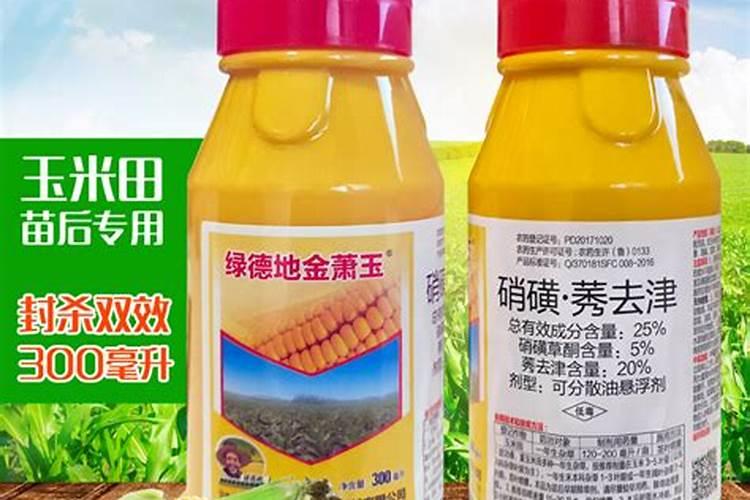 硫双威和玉米田除草剂混用对玉米安全吗？