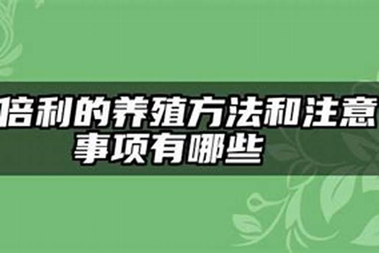 六倍利的养殖方法和注意事项有哪些