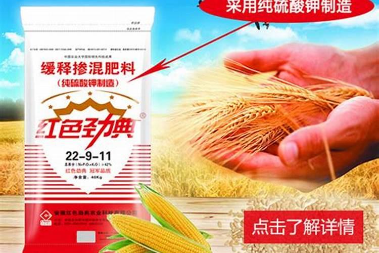 丰收秘诀：种小麦用什么化肥？