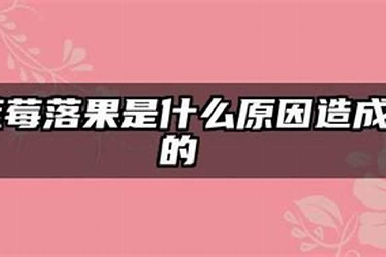 蓝莓落果是什么原因？