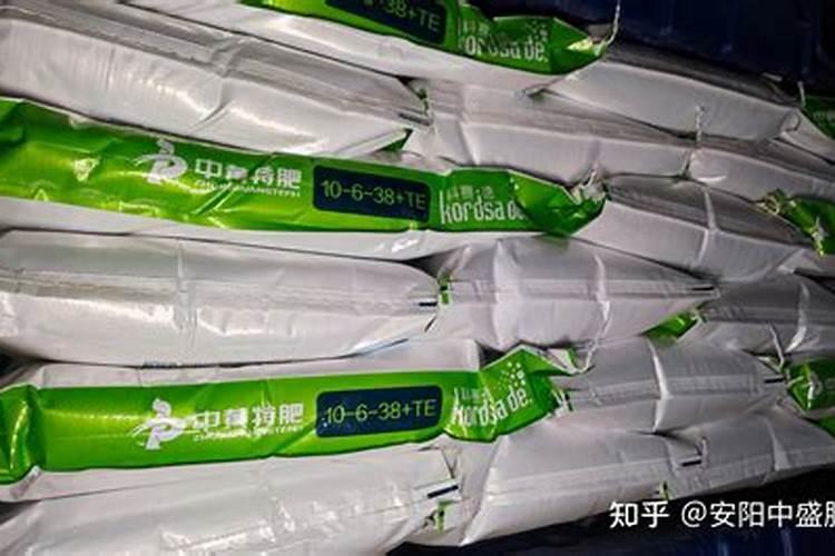 智慧农艺：水溶肥施用的关键注意事项