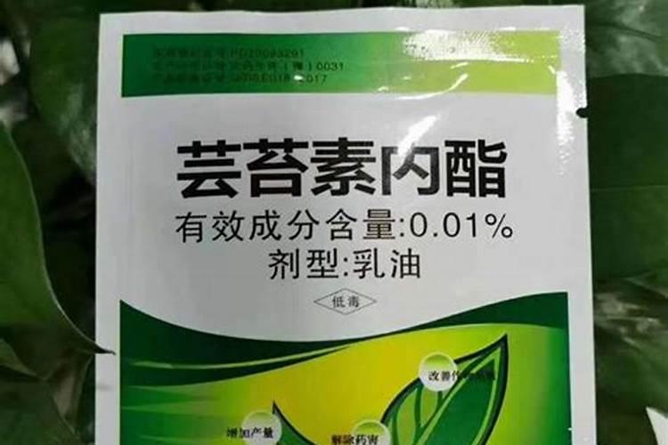 芸苔素内酯什么时候用最好