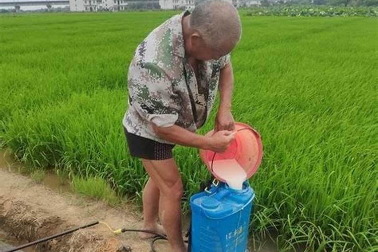 农药一亩地打多少斤水